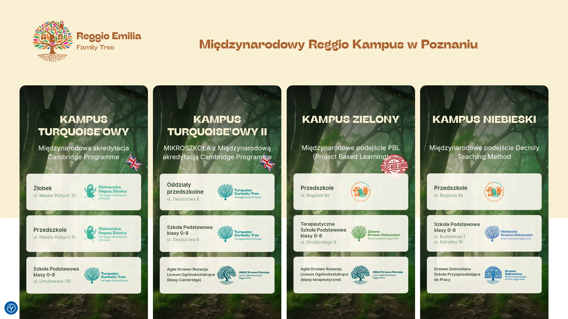 reggioemiliapoznan.pl